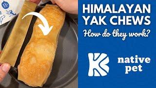 HOW DO HIMALAYAN YAK CHEWS WORK? | The BK Pets - Dog & Cat Tips