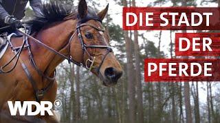 Warendorf - Ruhmreiche Pferdestadt | Heimatflimmern | WDR