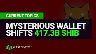 417.3 Billion SHIB Shifted by Mysterious Crypto Wallet