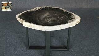 Transform Your Space: The Allure of Petrified Wood Furniture #rustic #petrifiedwood #coffeetables