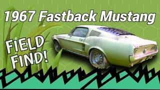 1967 MUSTANG FASTBACK | FIELD FIND | Episode 2 | SHORT HAULS | graysvws