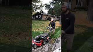 Can This Mower Get All of The Leaves? #satisfying #mowing