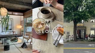 여름 vlog - 모던 한식과 평양냉면, 신상 카페 비전 스트롤 연희와 카멜 서촌,  빈티지 가구 전시, 경복궁 야간개장