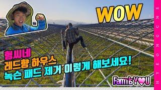 형씨네 레드향 하우스 패드 제거 패드 교체 손쉽게 하기