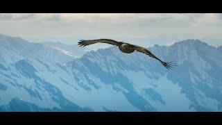 "Kitzsteinhorn – THE GLACIER” Imagefilm Kitzsteinhorn Zell am See-Kaprun