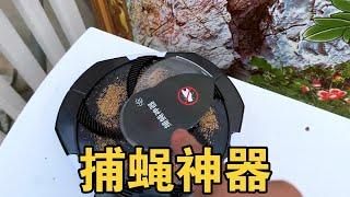 网上的捕蝇神器真的好用吗？【开箱小钻风】