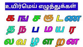 உயிர்மெய் எழுத்துக்கள் / UyirMei Ezhuthukkal /Tamil Letters /கஙசஞ/ UyirMei Ezhuthukkal sound & name