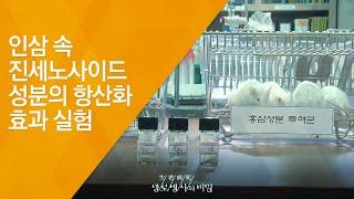 인삼 속 진세노사이드 성분의 항산화 효과 실험 - (20130202_447회 방송)_흙 속의 신비, 사람을 닮은 뿌리