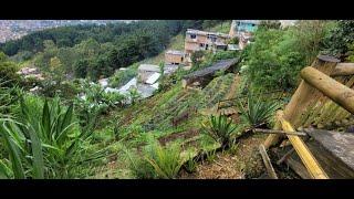 Urban Underground: Agroecological Functions of Soils in the City