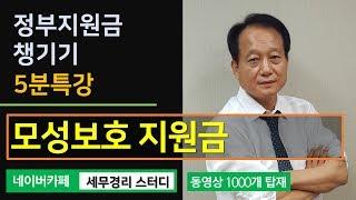 #19 [정부지원금 5분특강] 모성보호와 모성보호 지원금 [강낙원 노무사의 5분특강]