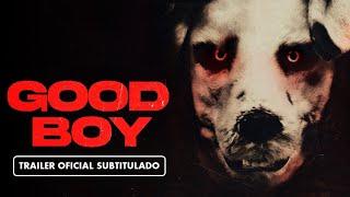 Good Boy (2023) - Tráiler Subtitulado en Español