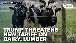 Trump says Canada has 250% tariff on US dairy and lumber, warns he will reciprocate