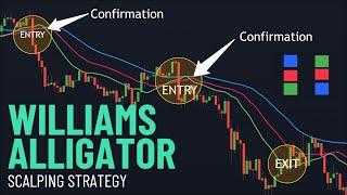 Live BTC/USD Scalping Using Williams Alligator Strategy | $1250+ Profit