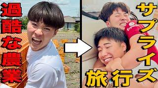 過酷な農業体験したあとに最高の誕生日旅行プレゼントした【淡路島遠征-後編】