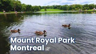 【4K】Mount Royal Park Virtual Walk, Montreal  2023