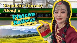 Journey Along Qinghai - Tibet Plateau Railway 西藏拉林铁路初体验 听听乘客们的感受如何？