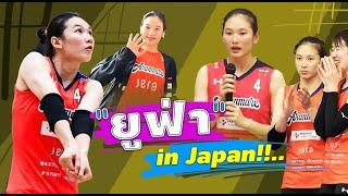 เล่นแบบไหนให้ใครรัก!!.ยูฟ่า ล่าสุด  ดลพร สินโพธิ์ ในวอลเลย์บอล SV LEAGUE JAPAN