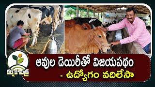 ఆవులతో డెయిరీ పెట్టి ఉద్యోగం వదిలేసా || నెలకు లక్షన్నర సంపాదన || Cow Dairy Farming || Karshaka Mitra