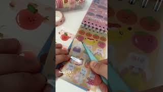 Journal with me Peach theme | mini journal ASMR