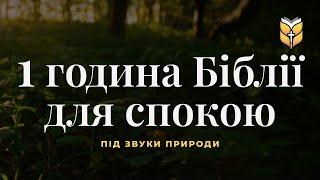 1 година Біблії для заспокоєння. Релакс під звуки природи #Біблія Сучасний переклад українською