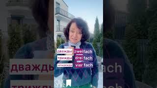  Дважы, трижды … #немецкий #дважды #тоижды #боженакорн