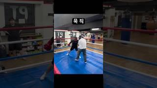 묵직 #boxing #훈련 #스파링 #트레이닝 #복싱 #복싱스파링
