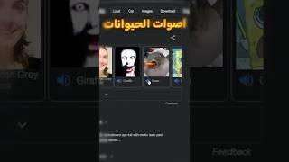 اغرب اشياء بقوقل 