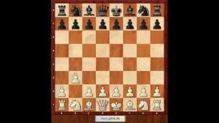 Eröffnungskatastrophen 6. Larsen-Eröffnung 1.b2-b3. Eugen Grinis. Schach