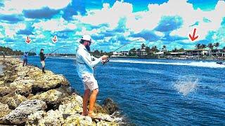 Everyone Hooked GIANTS At This South Florida Jetty!