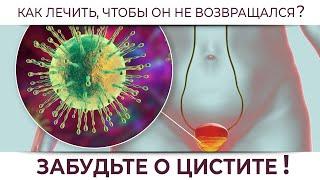 Забудьте о цистите! Как правильно лечить цистит, чтобы он не возвращался?