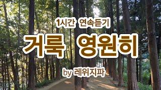 거룩 영원히(Holy Forever) | 레위지파(스캇브래너) | CCM | 쥬빌라테