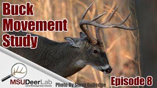 BUCK MOVEMENT STUDY - EPISODE 8: WHAT IS THAT BUCK DOING?