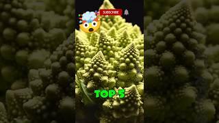 Top 5 Bizarre Vegetables on Earth – Nature's Culinary Curiosities!