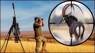 Epic Sable Antelope KILL SHOTS