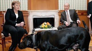 Putin Brought Dog to Meeting With Merkel