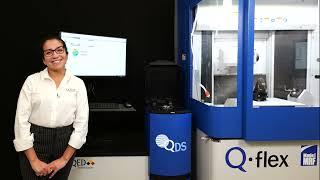 QDS (QED Deflectometer for Spots) Demonstration