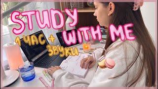 REAL TIME study with me (со звуками): 1 час учись со мной в реальном времени