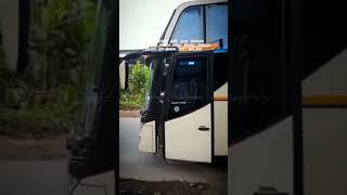 GM royal bus terbaru Wonogiri #shorts #bus #story #storywa30detik #busmania