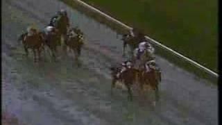 Alysheba - 1988 Breeders Cup Classic (Partial)