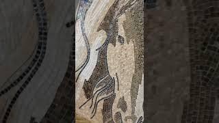 Gorgeous Mosaic Horse Shower #SHORTS
