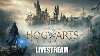 More Hogwarts Legacy