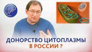 Донорство цитоплазмы: делают ли омоложение яйцеклеток при помощи донорства цитоплазмы в России?