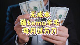 无成本薅temu羊毛，每月可过万美金收入