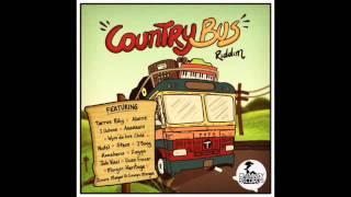 COUNTRY BUS RIDDIM MIX - ALAINE, ZAGGA, TARRUS RILEY , ASSASIN ETC | REGGAE | AUGUST 2015 |