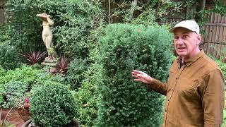 Concepts & Principles of Landscape Design with Keith Geller - Northwest Horticultural Society