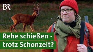 Rehe jagen, Wald schützen: Jäger fordern andere Schonzeiten | Jagd und Wald | Unser Land | BR