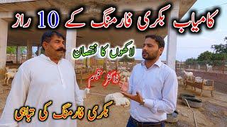 10 Major Tips To Start Goat Farming In Pakistan|| Goat Farming Business In Pakistan