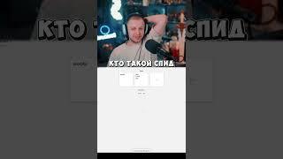 #стинт #стинтик #stint #stintik #твич #стрим #стример