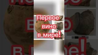 Первое вино в мире! #georgia #грузия #история #путешествие