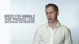 Donagh Berry Interview - The importance of genomics in animal breeding